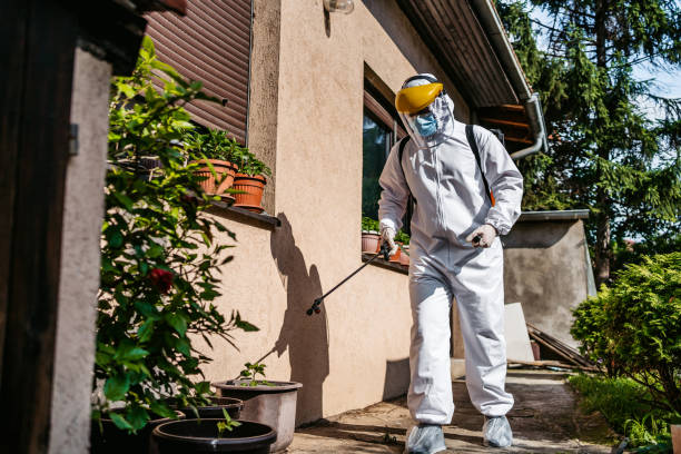 Best Residential Pest Control  in Brunswick, GA