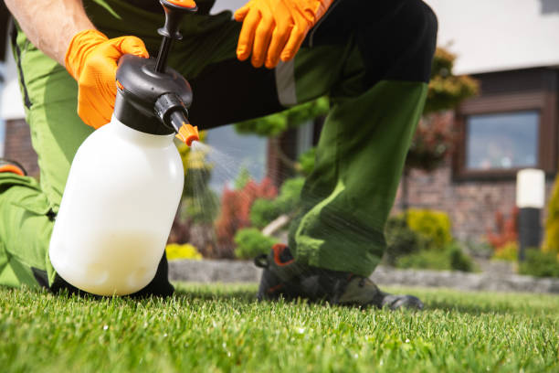 Best Flea Control Services  in Brunswick, GA