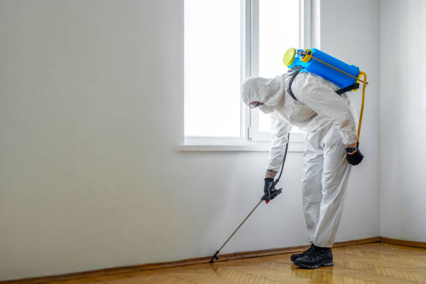 Best Termite Control Services  in Brunswick, GA