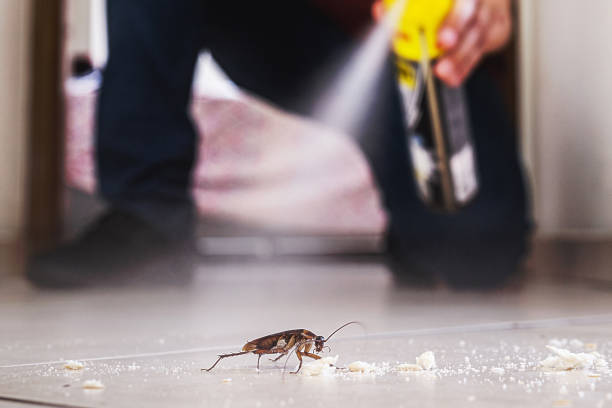 Best Rat Extermination Near Me  in Brunswick, GA